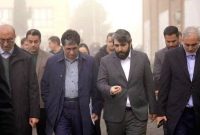 محمدرضا سعیدی: اهتمام شستا تولید پایدار در کارخانه‌های تابعه است