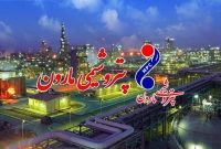 جهانبخش شریعت عضو جدید هیئت مدیره پتروشیمی مارون معرفی شد