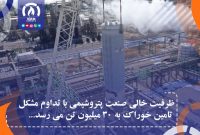 ظرفیت خالی صنعت پتروشیمی با تداوم مشکل تامین خوراک به ۳۰ میلیون تن می رسد