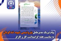 پیام تبریک مدیرعامل پتروشیمی شهید تندگویان به مناسبت هفته گرامیداشت کار و کارگر