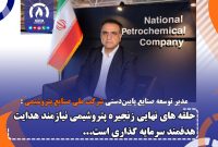 حلقه‌ های نهایی زنجیره پتروشیمی نیازمند هدایت هدفمند سرمایه‌ گذاری‌ است