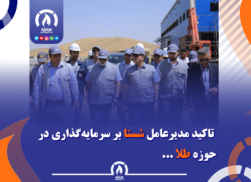 تاکید مدیرعامل شستا بر سرمایه‌گذاری در حوزه طلا