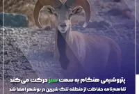پتروشیمی هنگام به سمت سبز حرکت می‌کند؛ تفاهم‌نامه حفاظت از منطقه تنگ شیرین در بوشهر امضا شد
