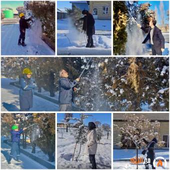 پویش برف تکانی درختان در پتروشیمی ارومیه پویش برف تکانی درختان در پتروشیمی ارومیه