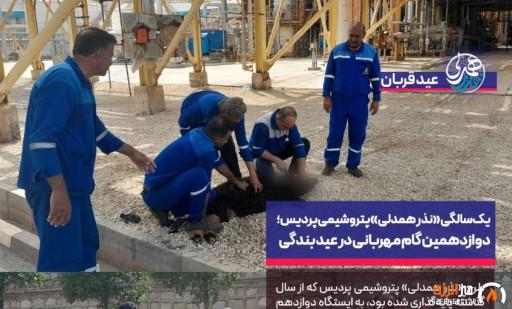 یک‌سالگی «نذر همدلی» پتروشیمی پردیس؛ دوازدهمین گام مهربانی در عید بندگی