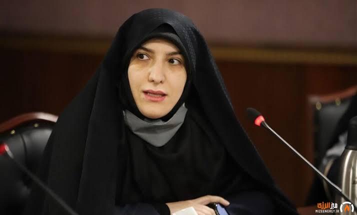 «وزارت نفت جای آزمون و خطا نیست»؛ هشدار قیصری به گزینه پیشنهادی دولت